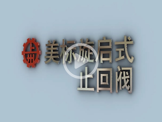 美標(biāo)旋啟式止回閥